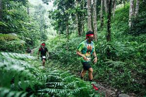 BIB: 
                            <button type="button" onclick="openModal(26359800)" class="btn btn-primary btn-sm float-right btn-popup" data-toggle="modal" data-target=".modal-high-quality">
                        <i class="fas fa-shopping-cart"></i> Add to Cart
                    </button>
                                            <button type="button" onclick="isThisMe(26359800, true)" class="btn btn-success btn-sm float-right btn-popup btn-isme hidden" data-toggle="tooltip" data-placement="bottom" title="นี่คือรูปของคุณใช่ไหม คลิกที่นี่เพื่อเอาเข้าอัลบั้ม">
                        <i class="fas fa-plus"></i> Add to album
                    </button>
                    <button type="button" onclick="isThisMe(26359800, false)" class="btn btn-warning btn-sm float-right btn-popup btn-isnotme hidden">
                        <i class="fas fa-ban"></i> Remove from album
                    </button>